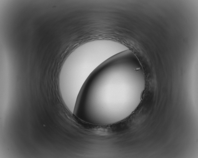 X0000085270756200703090915