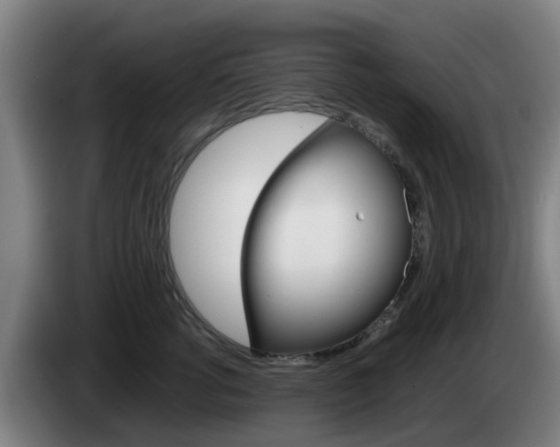 X0000085270762200703090915