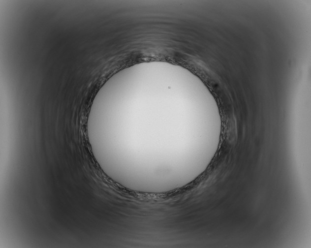 X0000085270770200703090915