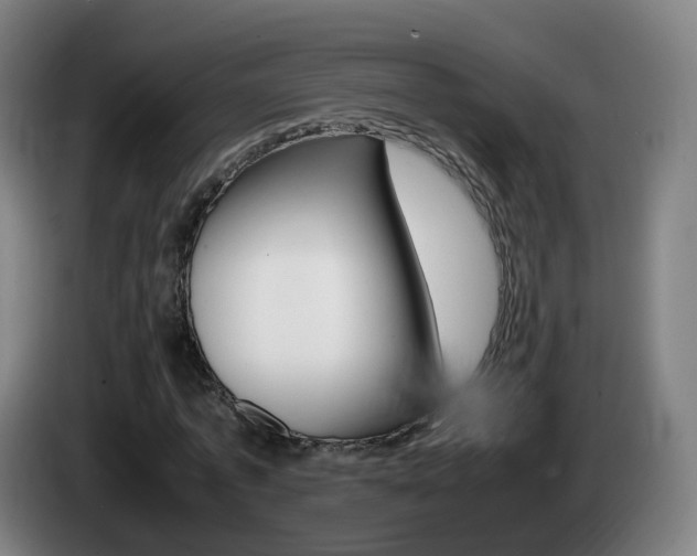 X0000085270773200703090915