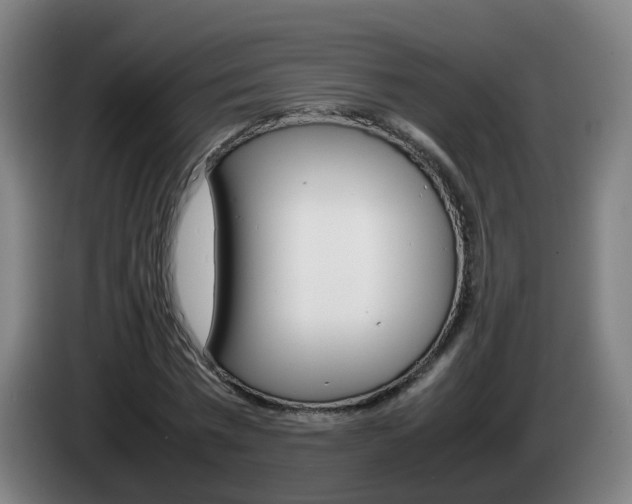 X0000085270777200703090915