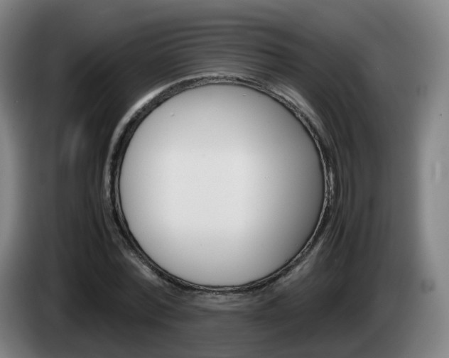 X0000085270780200703090915