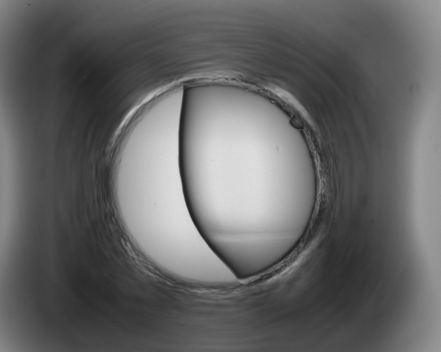 X0000085270781200703090915