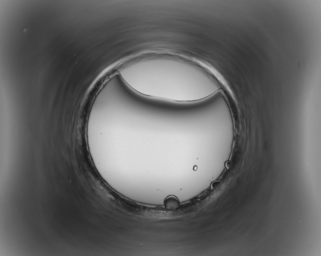 X0000085270783200703090915