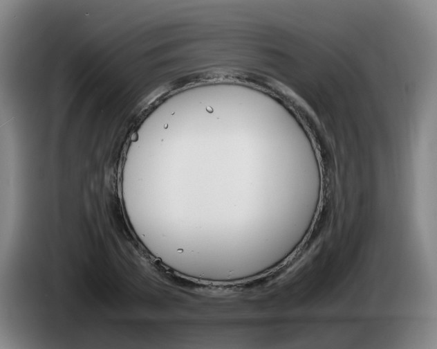 X0000085270785200703090914