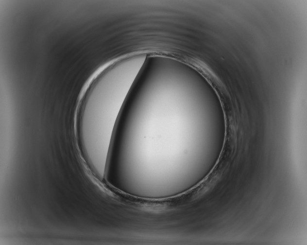 X0000085270788200703090914