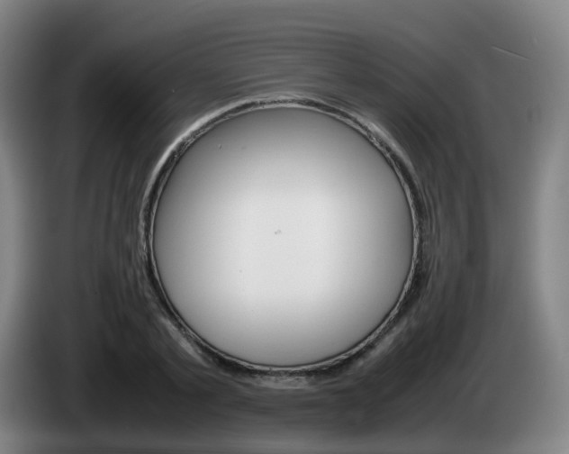 X0000085270789200703090914
