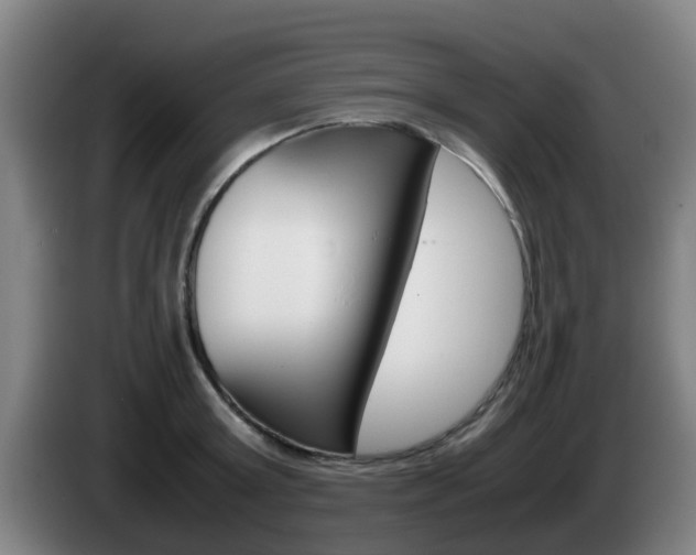 X0000085270803200703090914
