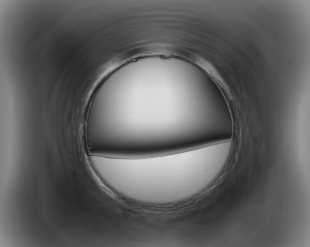 X0000085270805200703090914