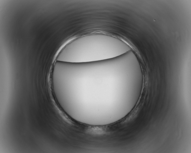 X0000085270806200703090914