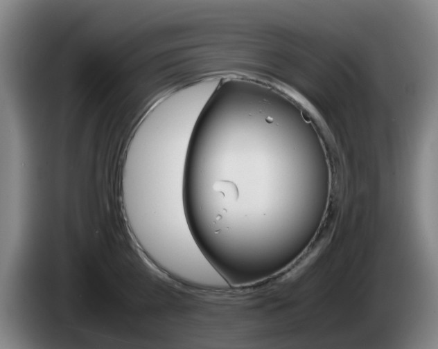 X0000085270809200703090914