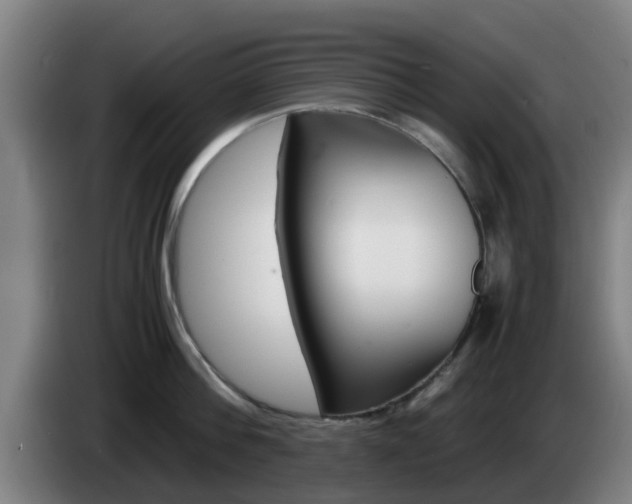 X0000085270812200703090914