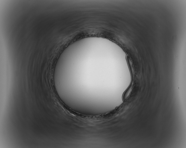 X0000085270817200703090913