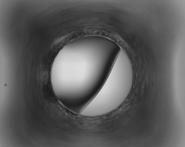 X0000085270821200703090913