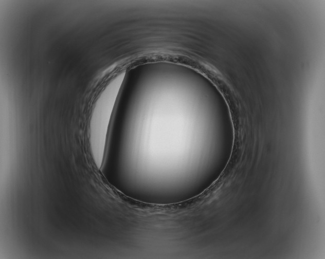 X0000085270822200703090913