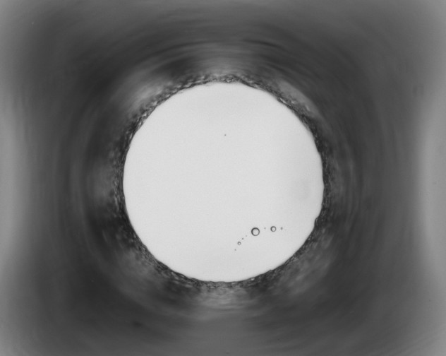 X0000085270824200703090914