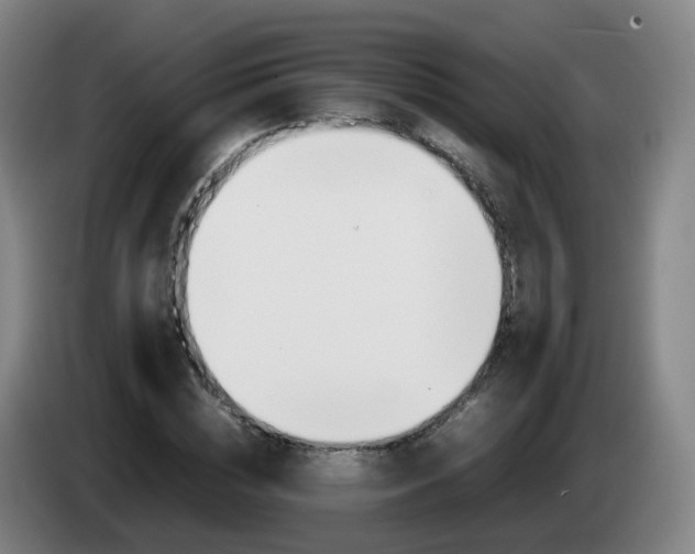 X0000085270828200703090914