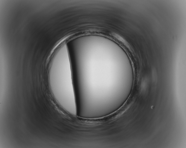 X0000085270829200703090914