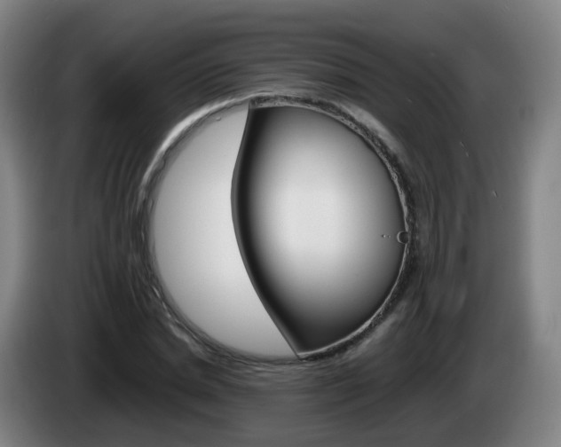 X0000085270830200703090914
