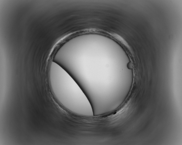 X0000085270831200703090914