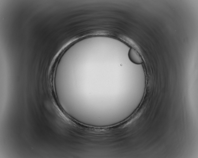 X0000085270835200703090914
