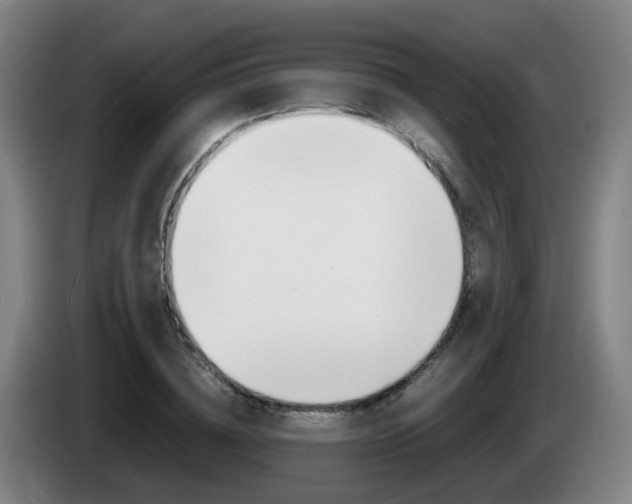 X0000085270836200703090914