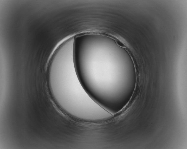X0000085270838200703090914