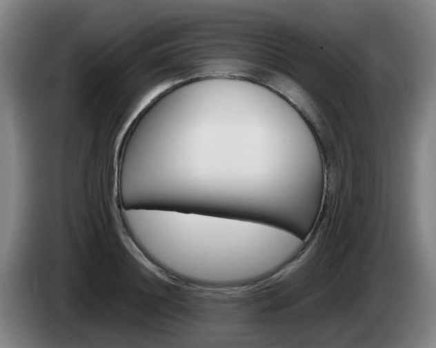 X0000085270844200703090914