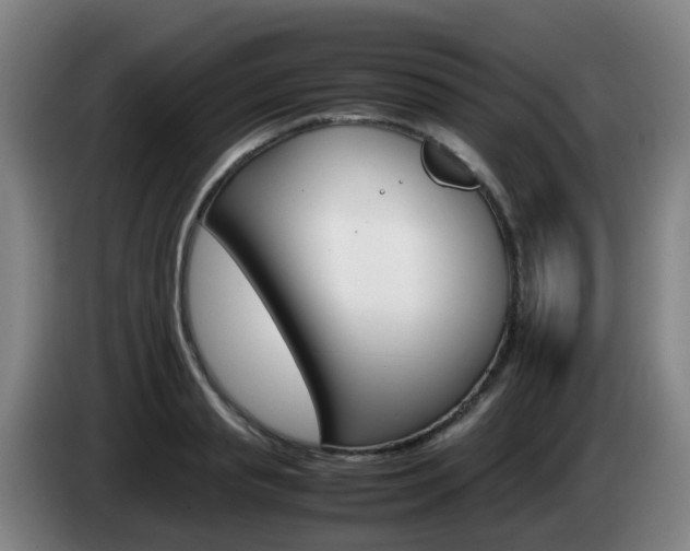 X0000085270845200703090914
