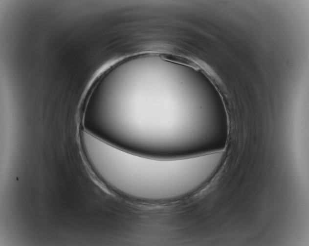 X0000085270846200703090914
