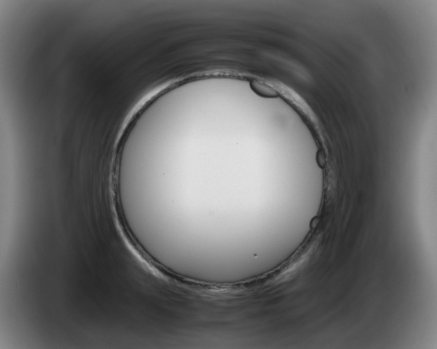 X0000085270847200703090914