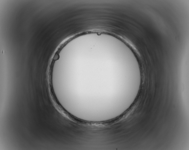 X0000085270848200703090914