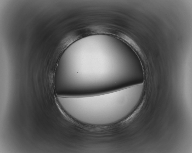 X0000085270849200703090914