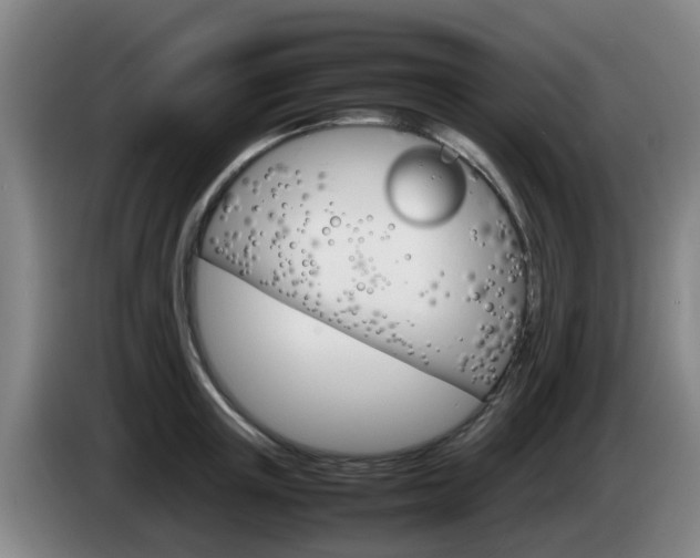 X0000085270851200703090914