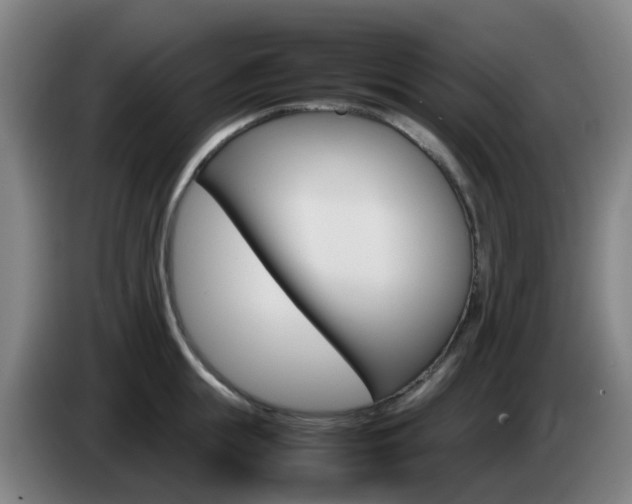 X0000085270855200703090914