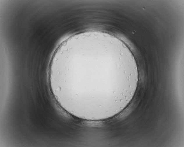 X0000085270856200703090914