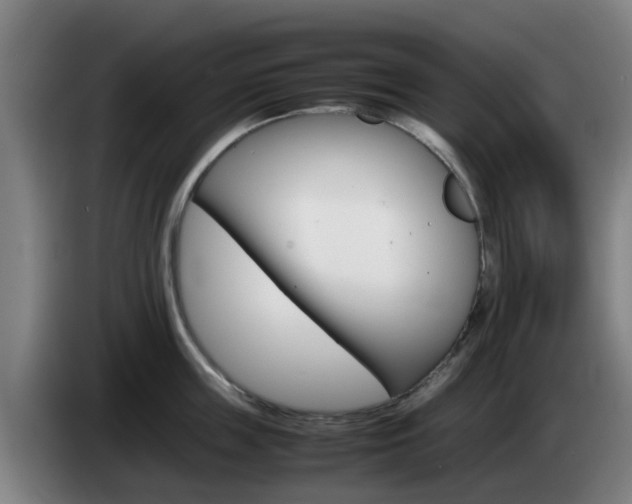 X0000085270859200703090914