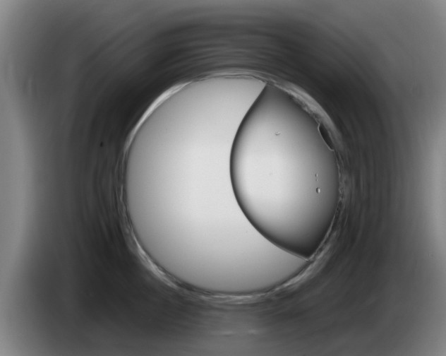 X0000085270860200703090914