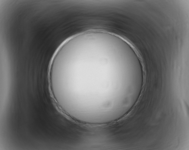 X0000085270864200703090914