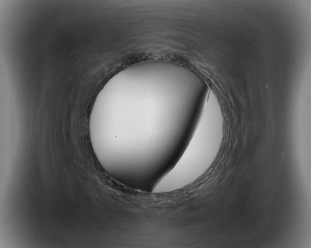 X0000085270865200703090913
