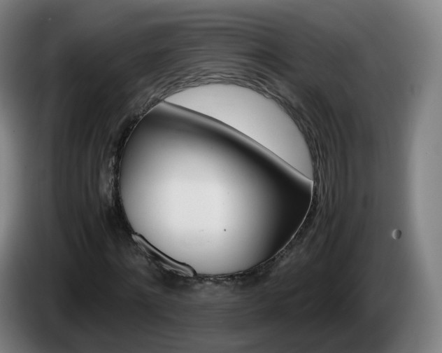 X0000085270868200703090913