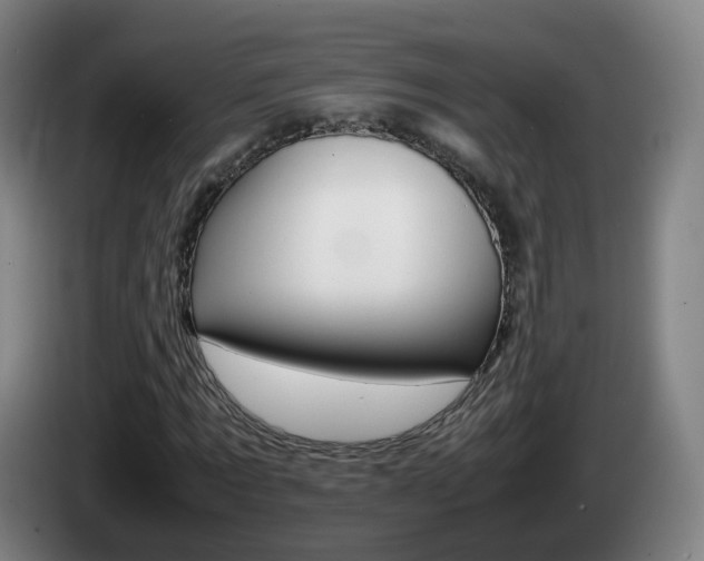 X0000085270869200703090913