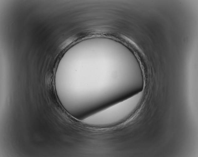 X0000085270873200703090913
