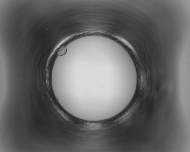 X0000085270878200703090913