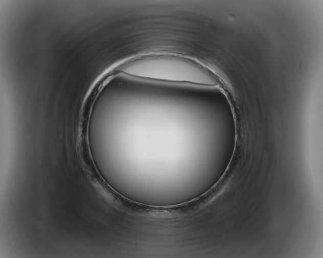 X0000085270880200703090913