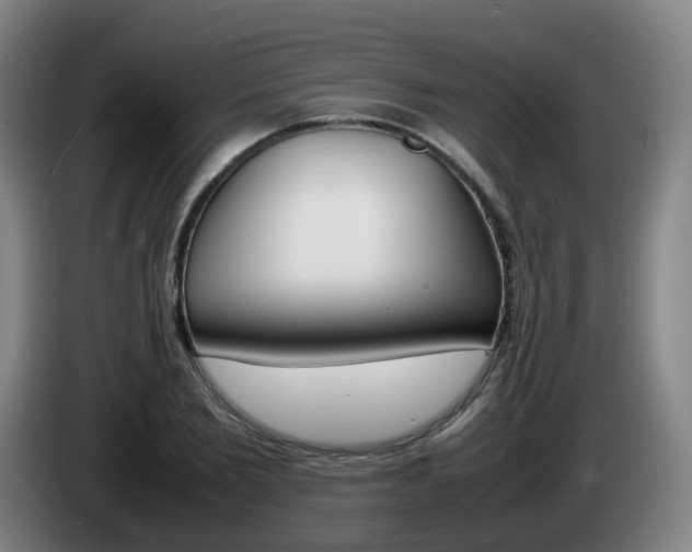 X0000085270885200703090913