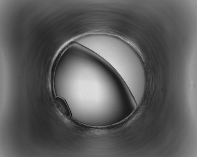 X0000085270888200703090913