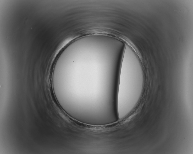 X0000085270893200703090913