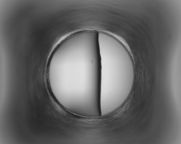 X0000085270895200703090913