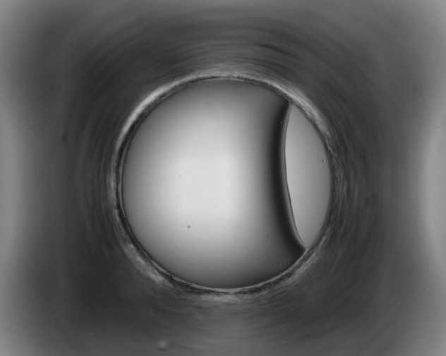 X0000085270896200703090913